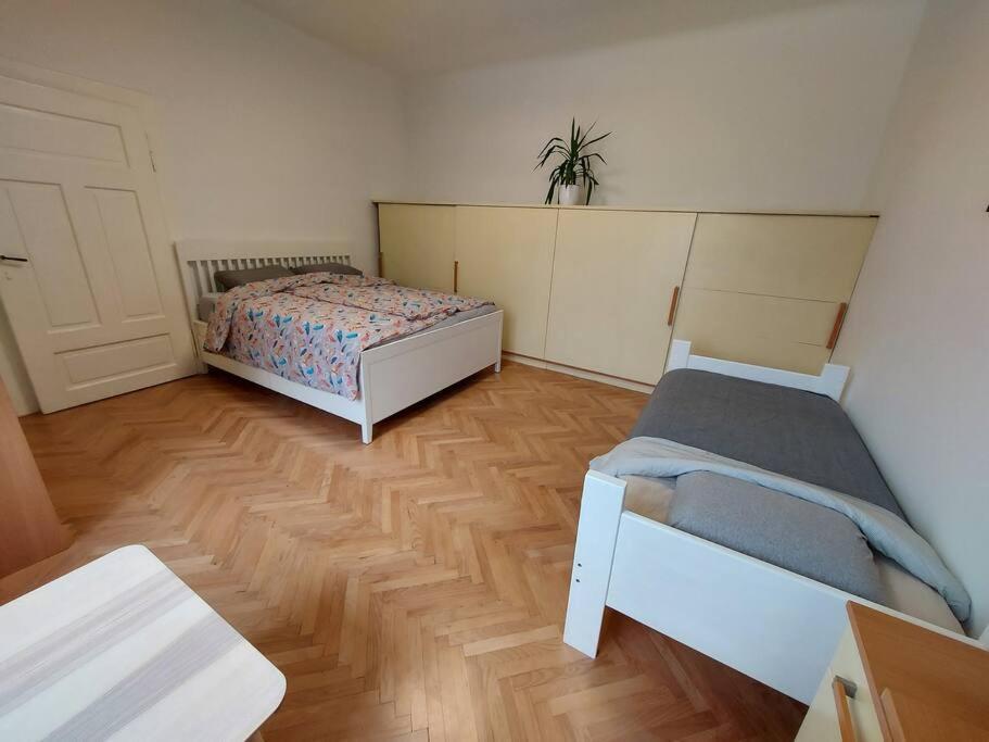 Apartment Bezigrad 류블랴나 외부 사진